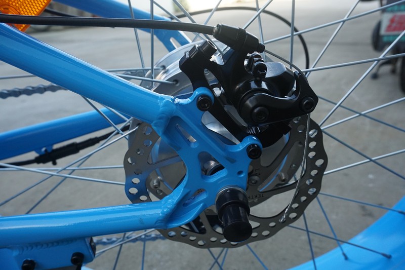 Rear disc brake