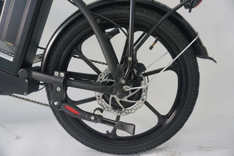 Rear disc brake