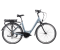 250w Electric Bicycle