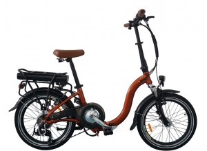 Best 250w Folding Electric Bike, F05