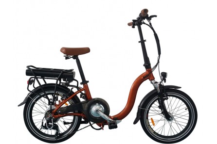 Best 250w Folding Electric Bike, F05