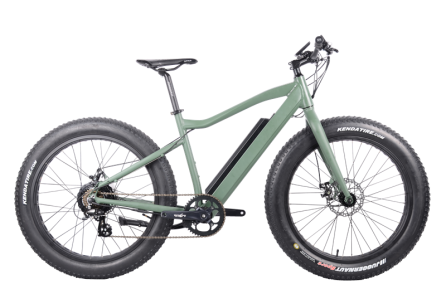 FAT Electric Bike 350W, FAT06