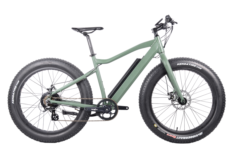 FAT Electric Bike 350W, FAT06 FAT Electric Bike 350W, FAT06