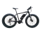 FAT Electric Bike with 350W/250W 8FUN Centre motor
