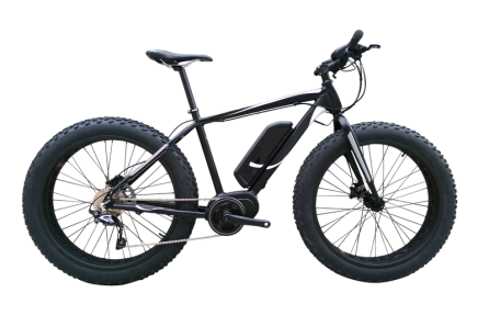 FAT Electric Bike with 350W/250W 8FUN Centre motor, FAT04