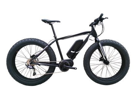 FAT Electric Bike with 350W/250W 8FUN Centre motor, FAT04