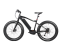 250w/350w Electric Fat Tire Bike