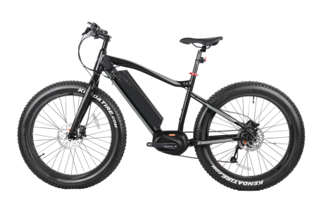 250w/350w Electric Fat Tire Bike, 8FUN MAX centre motor, FAT09