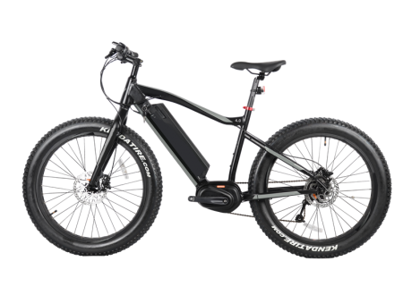 250w/350w Electric Fat Tire Bike, 8FUN MAX centre motor, FAT09