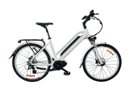Stylish Electric Bicycle, classic model, C19 Stylish Electric Bicycle, classic model, C19