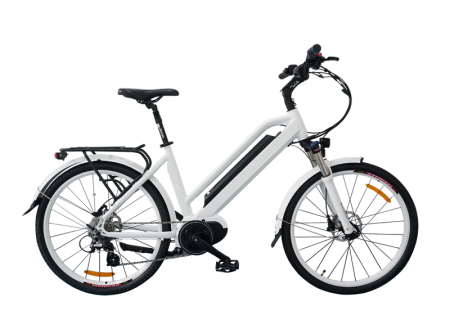 Stylish Electric Bicycle, classic model, C19