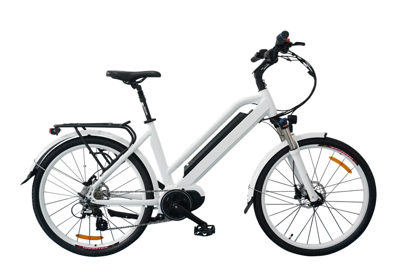 Stylish Electric Bicycle, classic model, C19 Stylish Electric Bicycle, classic model, C19