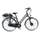 250w City E-Bike, C10
