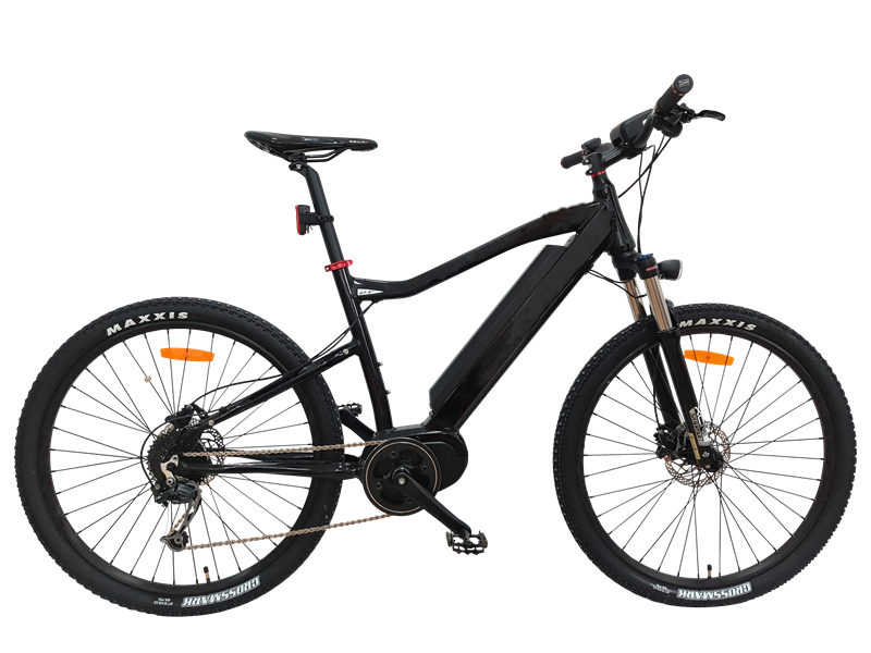 250w Mountain Electric Bike with 8FUN centre motor, M04 250w Mountain Electric Bike with 8FUN centre motor, M04