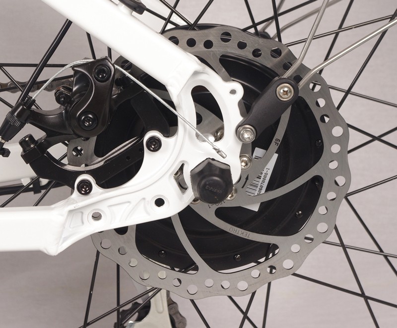 Rear disc brake