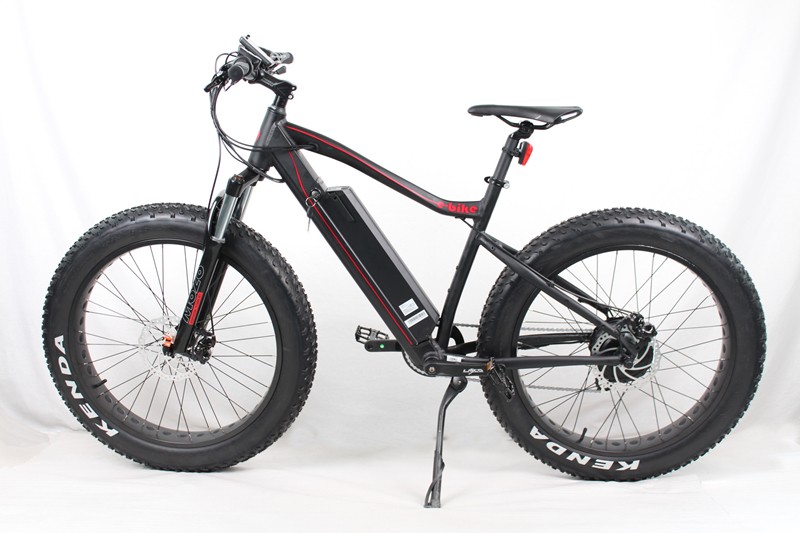 Electric Fat Tire Bike For Sale