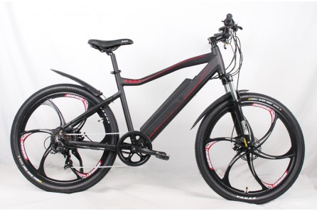 250W/350W/500W Mountain Electric Bike with Magnesium alloy wheel, M01