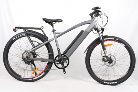 e MTB 2017, Justone LCD display, M12