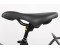 saddle