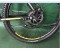 rear disc brake