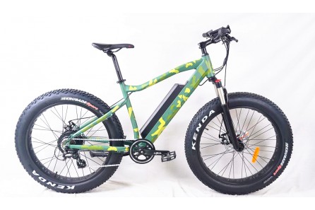 48V 500W Electric Fat Tire Bike, FAT07