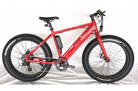 Fat Electric Bike 500w with hidden battery, FAT03