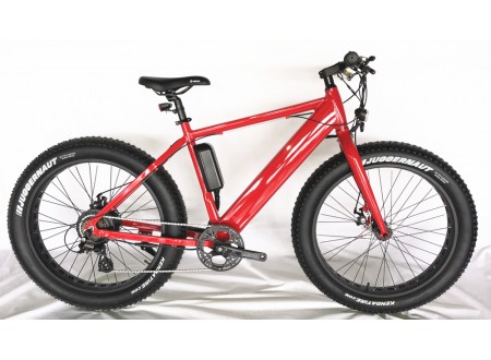 Fat Electric Bike 500w with hidden battery, FAT03