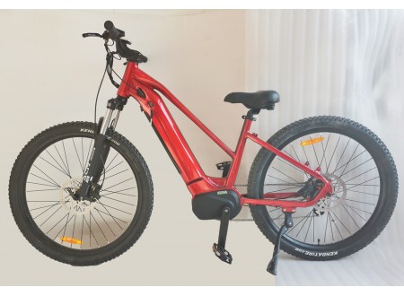 2022 step-thru electric bike, mid dirve ebike, M25