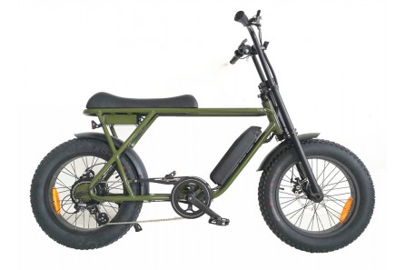 Coolest Electric Fat Tire Bike, FAT22