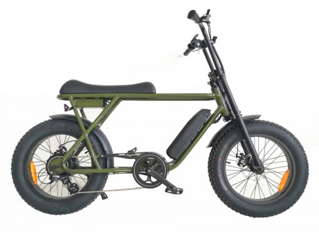 Coolest Electric Fat Tire Bike, FAT22