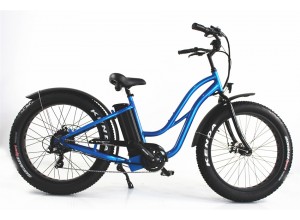 Electric Fat Bike for sale, FAT11