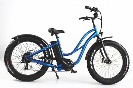Electric Fat Bike for sale, FAT11