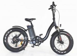 Fat tyre ebike, foldable ebike, FAT08