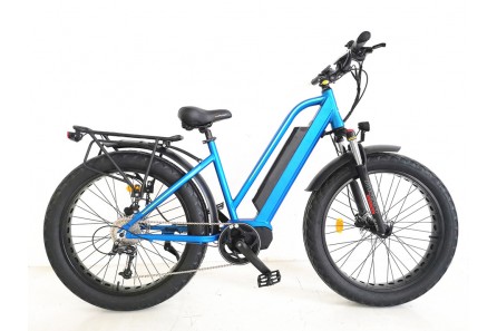 FAT Tyre Electric Bike, affordable mid drive ebike, FAT20