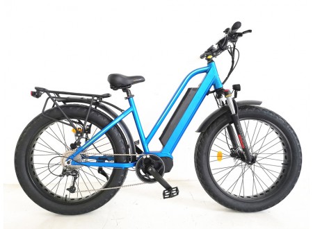 FAT Tyre Electric Bike, affordable mid drive ebike, FAT20