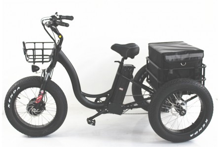 Fat tyre etrike, T02