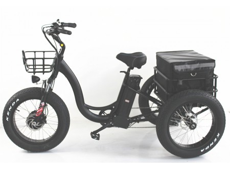 Fat tyre etrike, T02