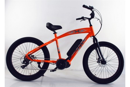 Mid Drive Electric Bike for Sale, M16