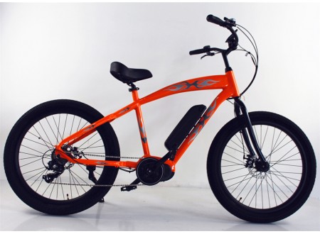 Mid Drive Electric Bike for Sale, M16