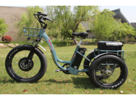 Are you interested to ride electric bike?