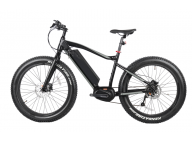 Ebikelee: One Stop to Electric Fat Tire Bike