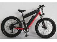 Electric bike: enhance health and fitness