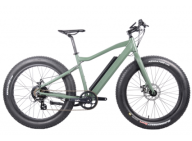Electric Fat Tire Bike: Eco-friendly & Economical Option