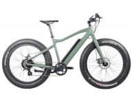 Electric Fat Tire Bike: Eco-friendly & Economical Option Electric Fat Tire Bike: Eco-friendly & Economical Option