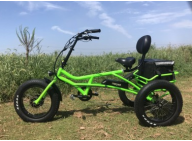 Electric Fat Tire Bike: suitable to ride on unstable terrains