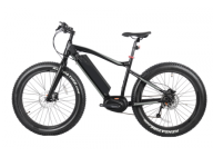 Fitness conscious people prefer electric fat tire bike