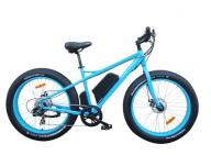 How Much Do You Know About Electric Fat Tire Bike?