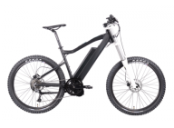 An inquiry of 750w Mountain Electric Bicycle