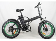 Inquiry of Fat Tire Electric Bike in May 2018