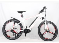 e-MTB is the new icon in 2017!